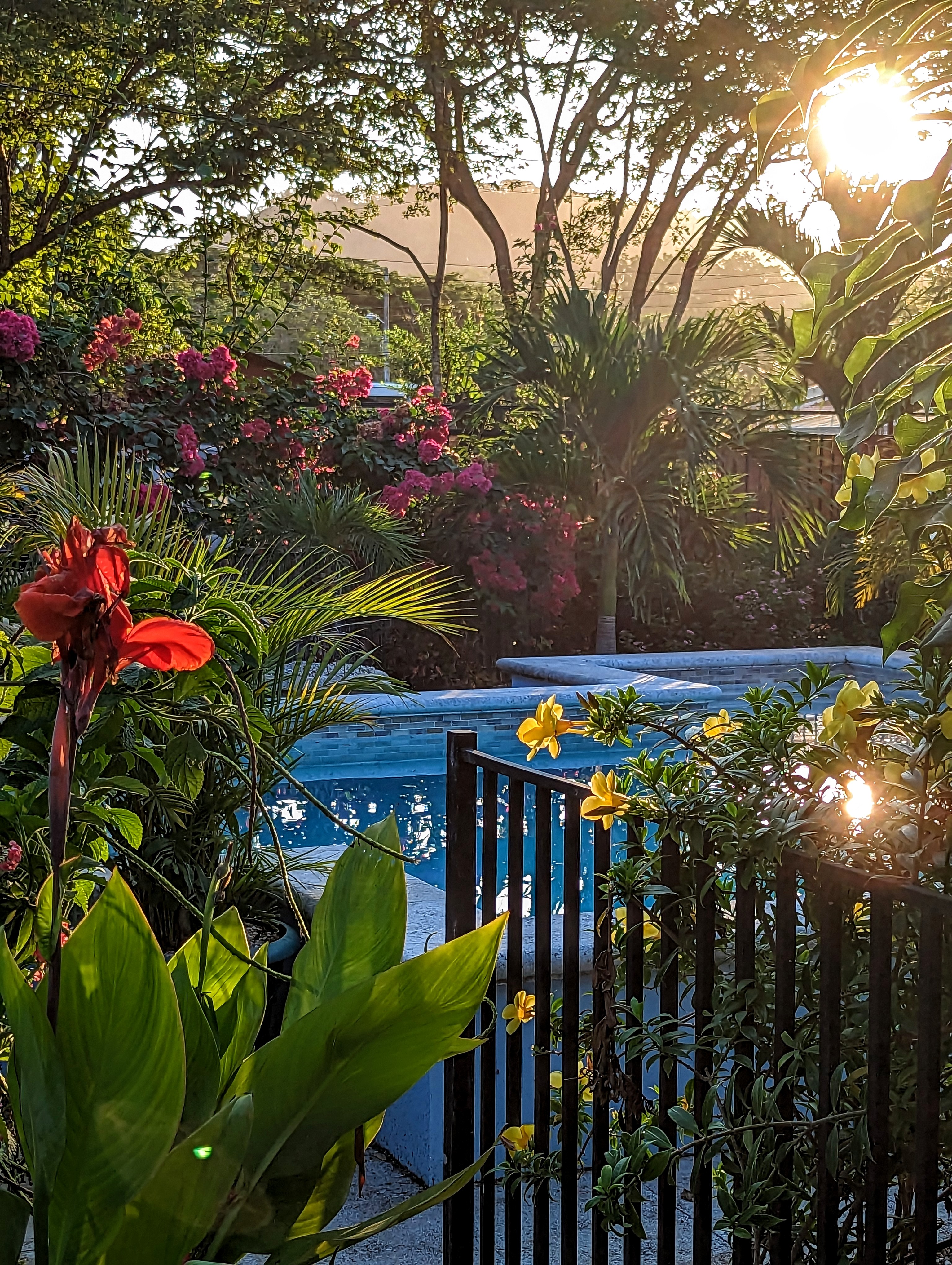 colorful tropical garden view inside samara costa rica property