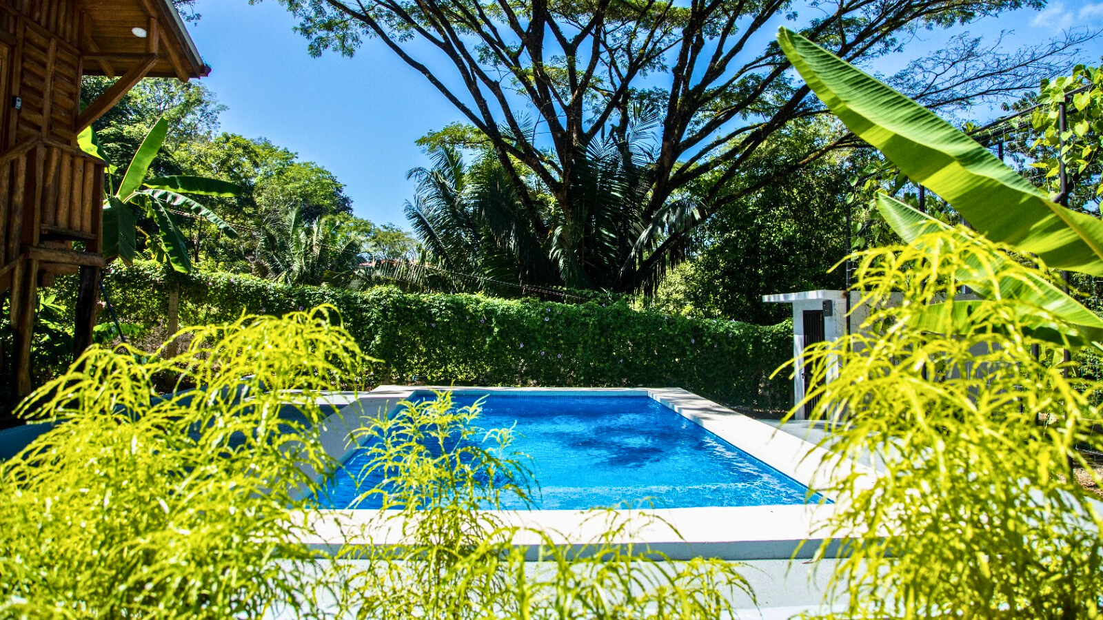 piscina tropical rodeada de selva en Cabañas El Descanso Samara