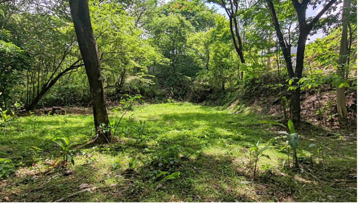 lote de selva con espacio abierto verde costa rica