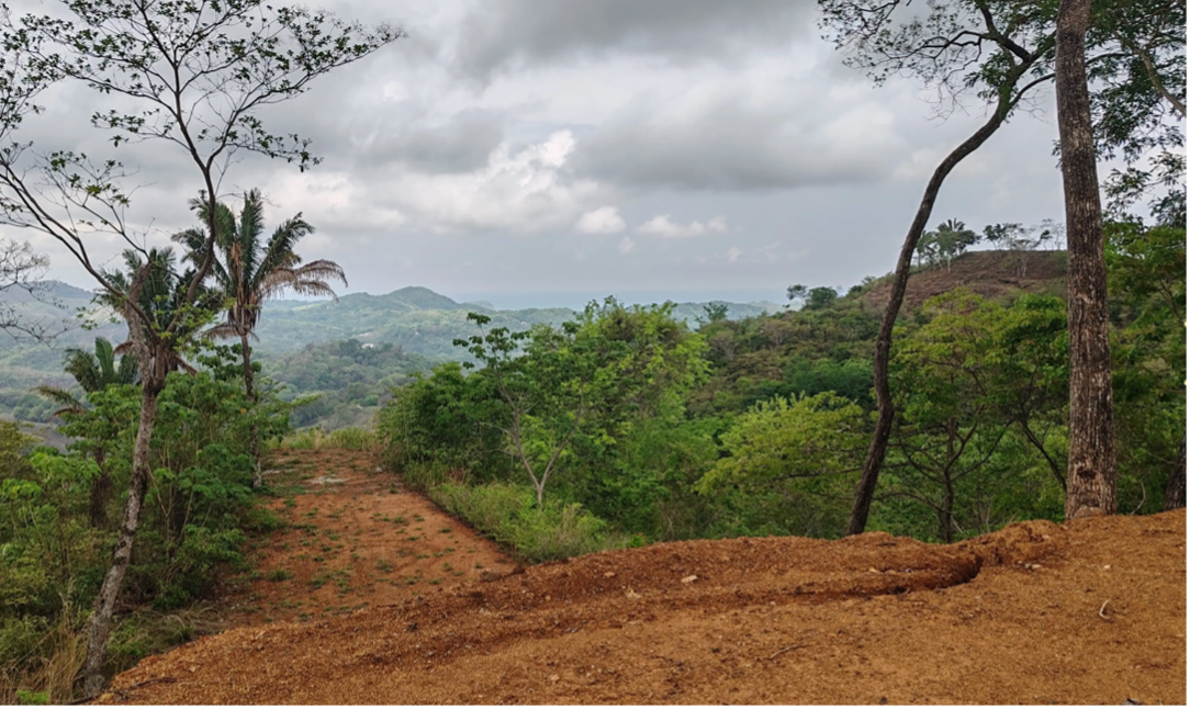 lote elevado con vista al océano 25 samara costa rica