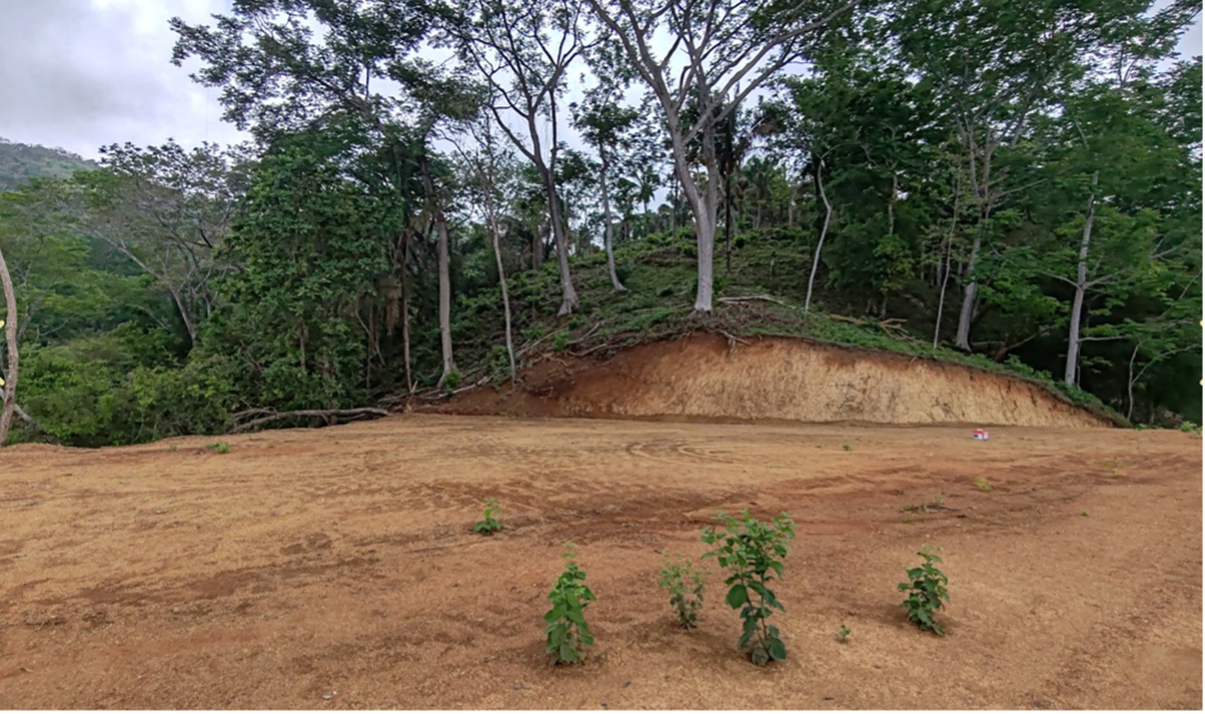 terreno plano área edificable lote 25 Costa Rica