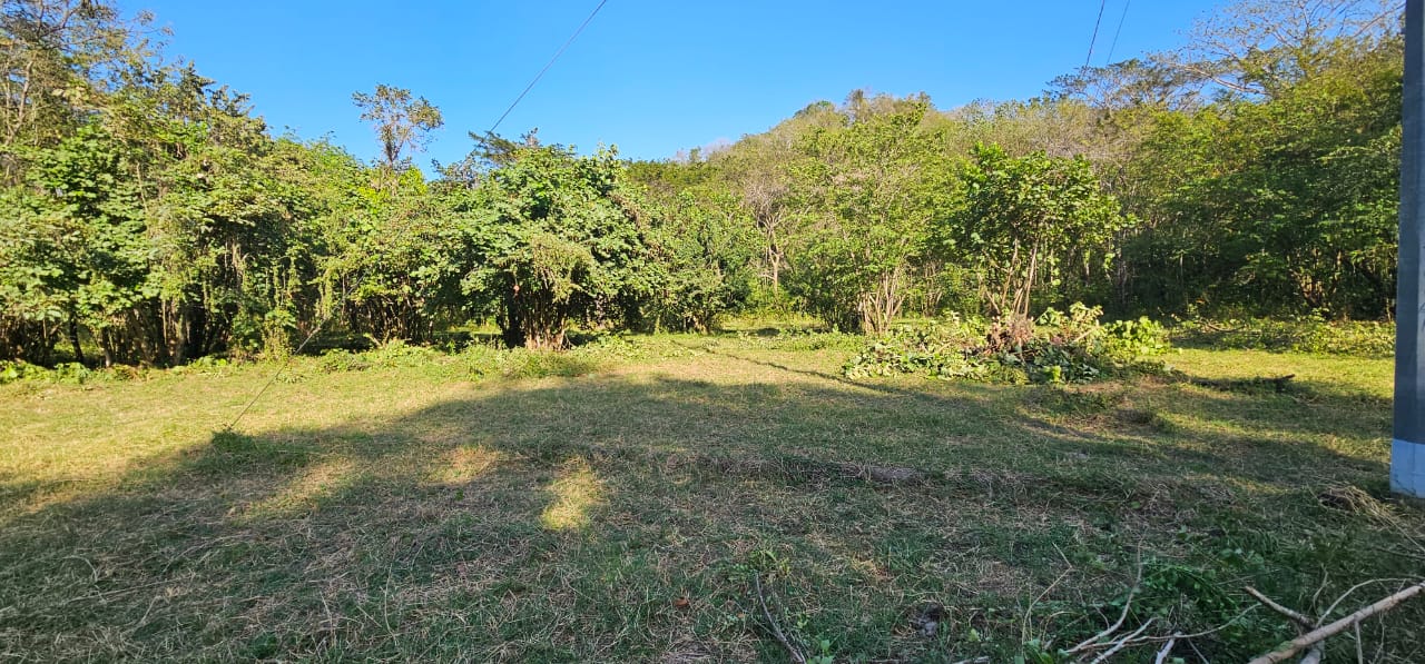 terreno tropical de inversión cerca de Sámara, Costa Rica