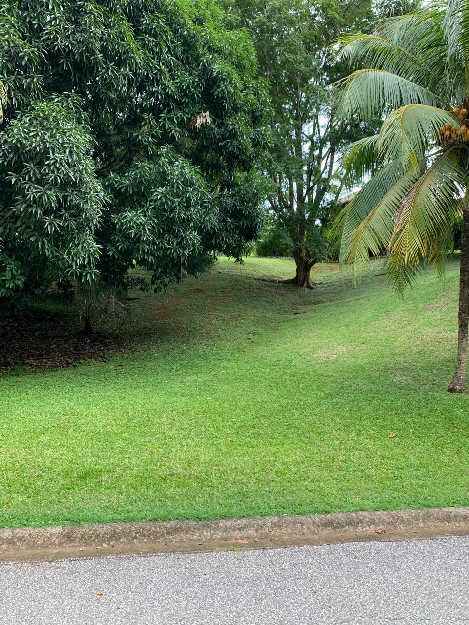 terreno elevado en venta lote brisa del bosque puerto carrillo costa rica