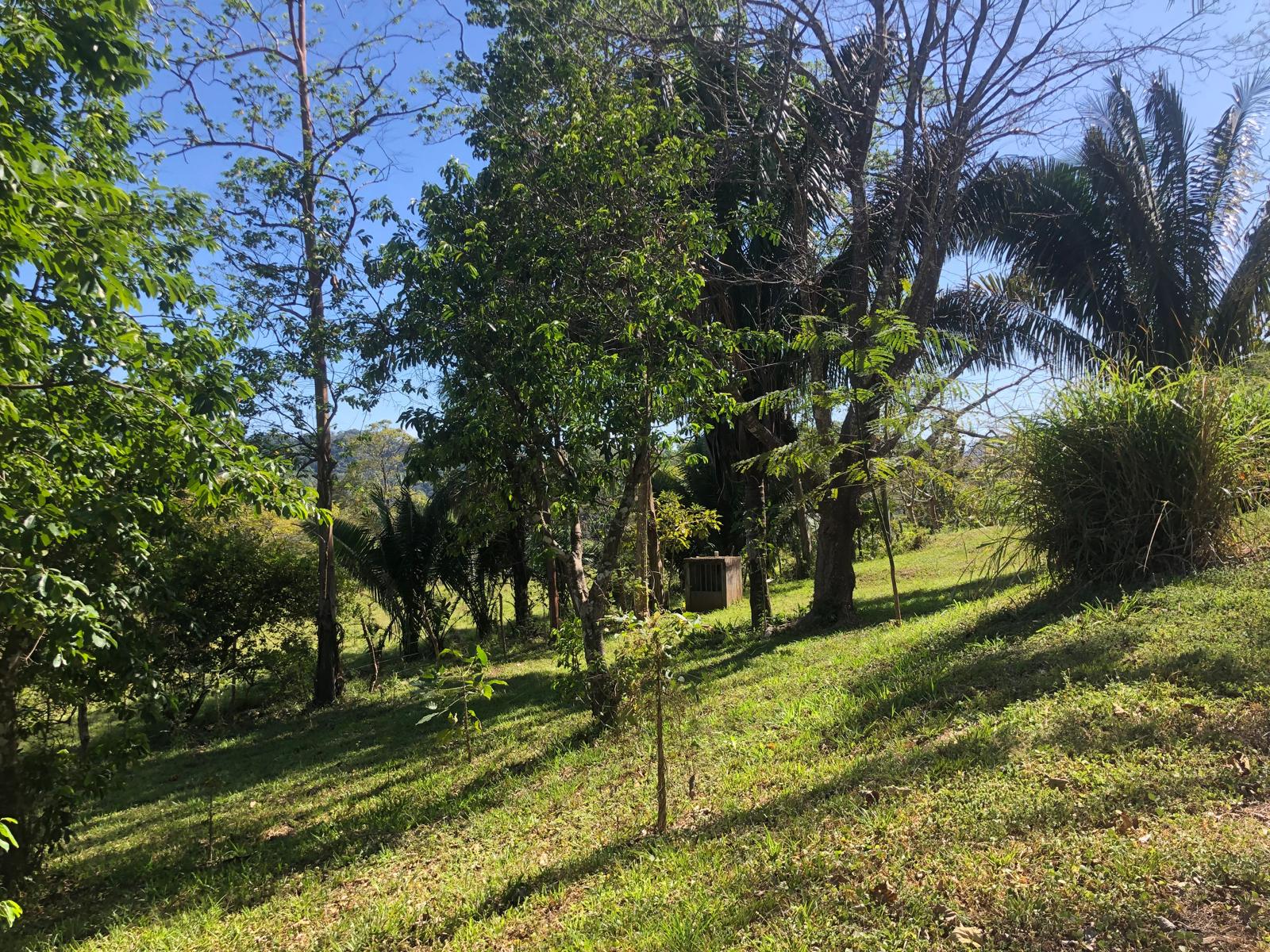 Land for sale in Tranquil Horizon, Puerto Carrillo, Costa Rica.