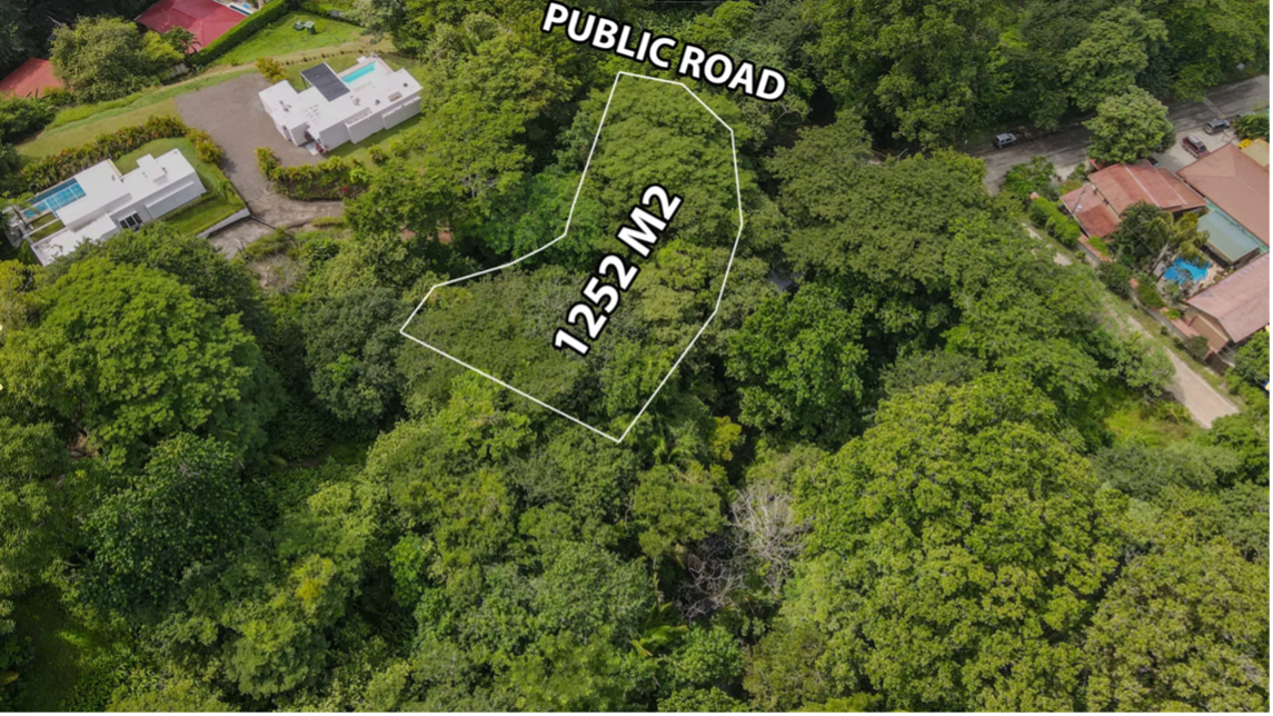 diseño aéreo de la parcela lote en la selva samara costa rica