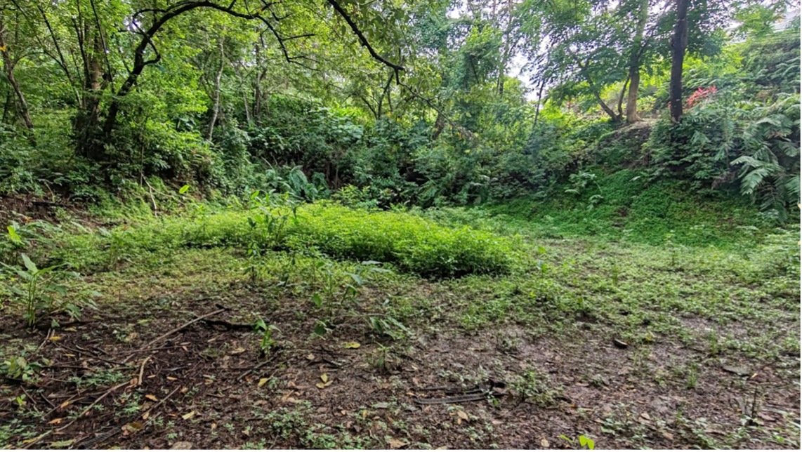 lote en la jungla con área de construcción plana samara costa rica