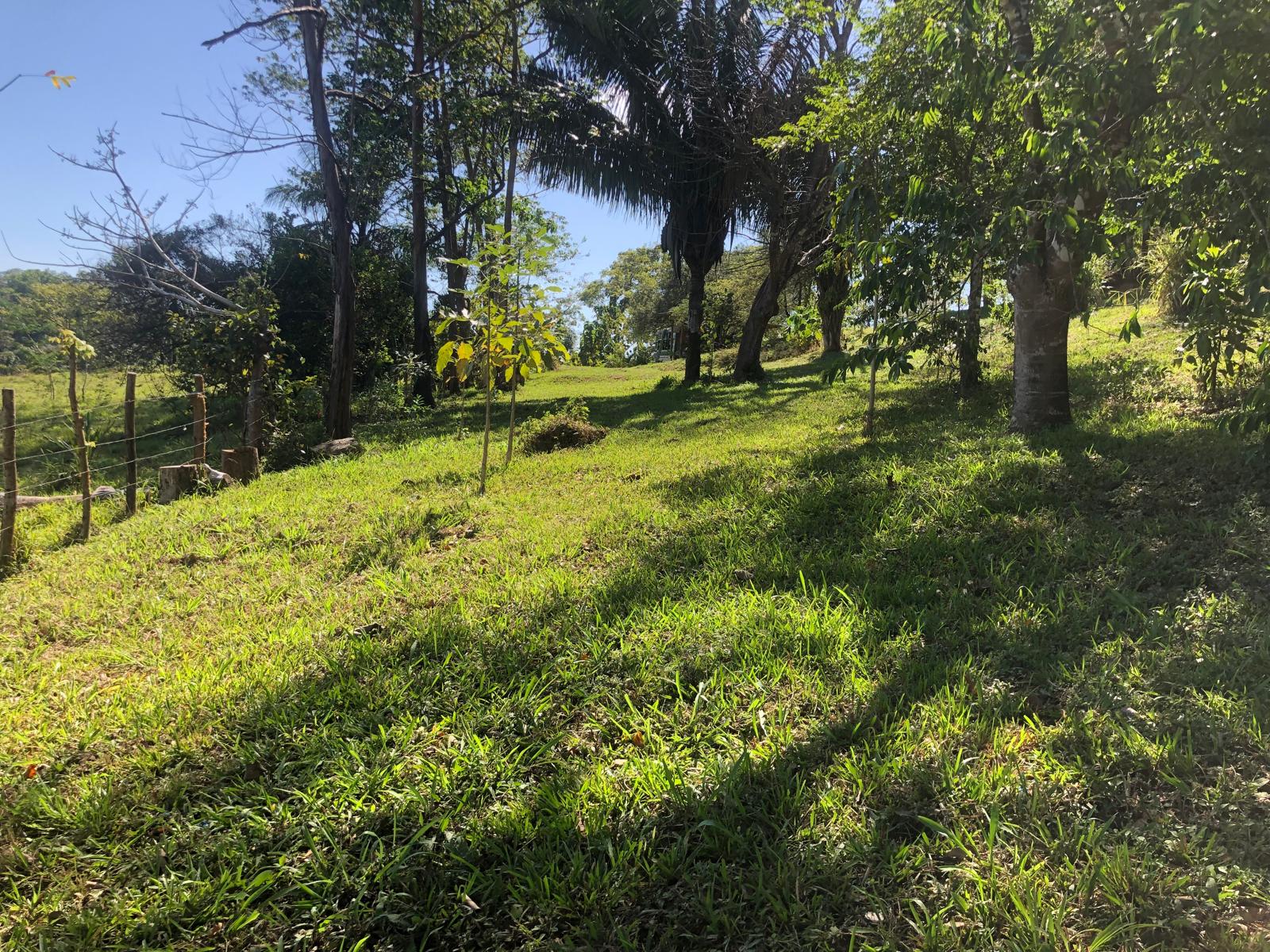 Land for sale in Tranquil Horizon, Puerto Carrillo, Costa Rica.