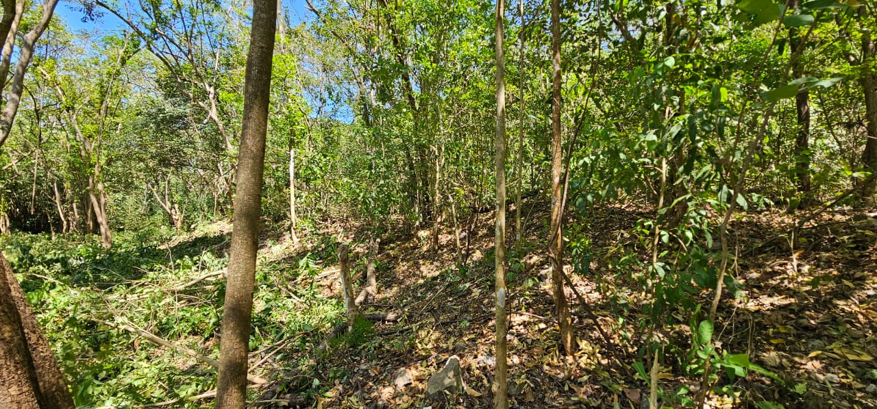 terreno edificable en Buena Vista, Sámara, Costa Rica