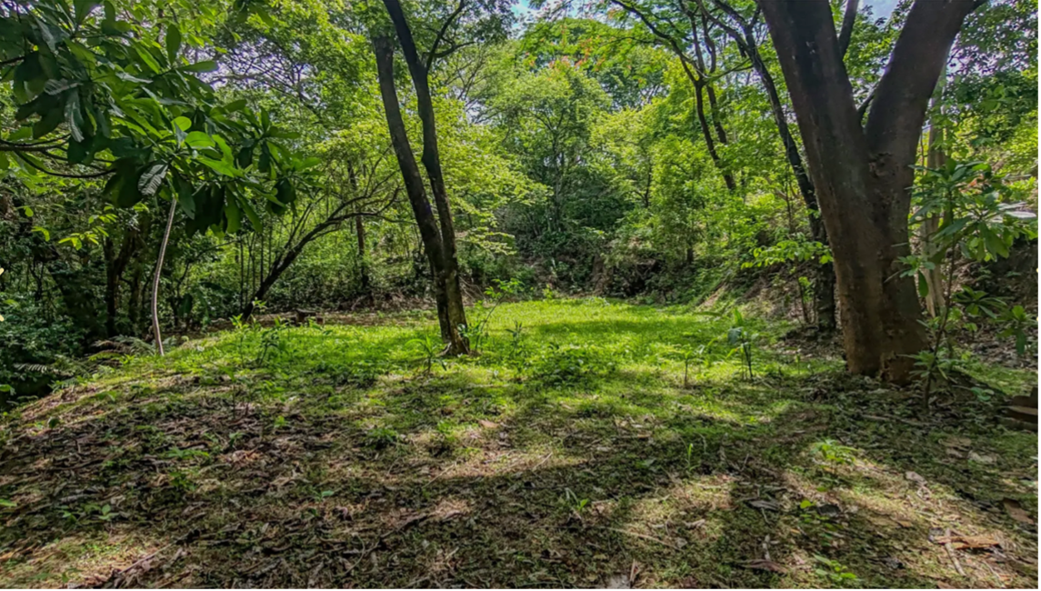 vista a la selva lote en la selva costa rica