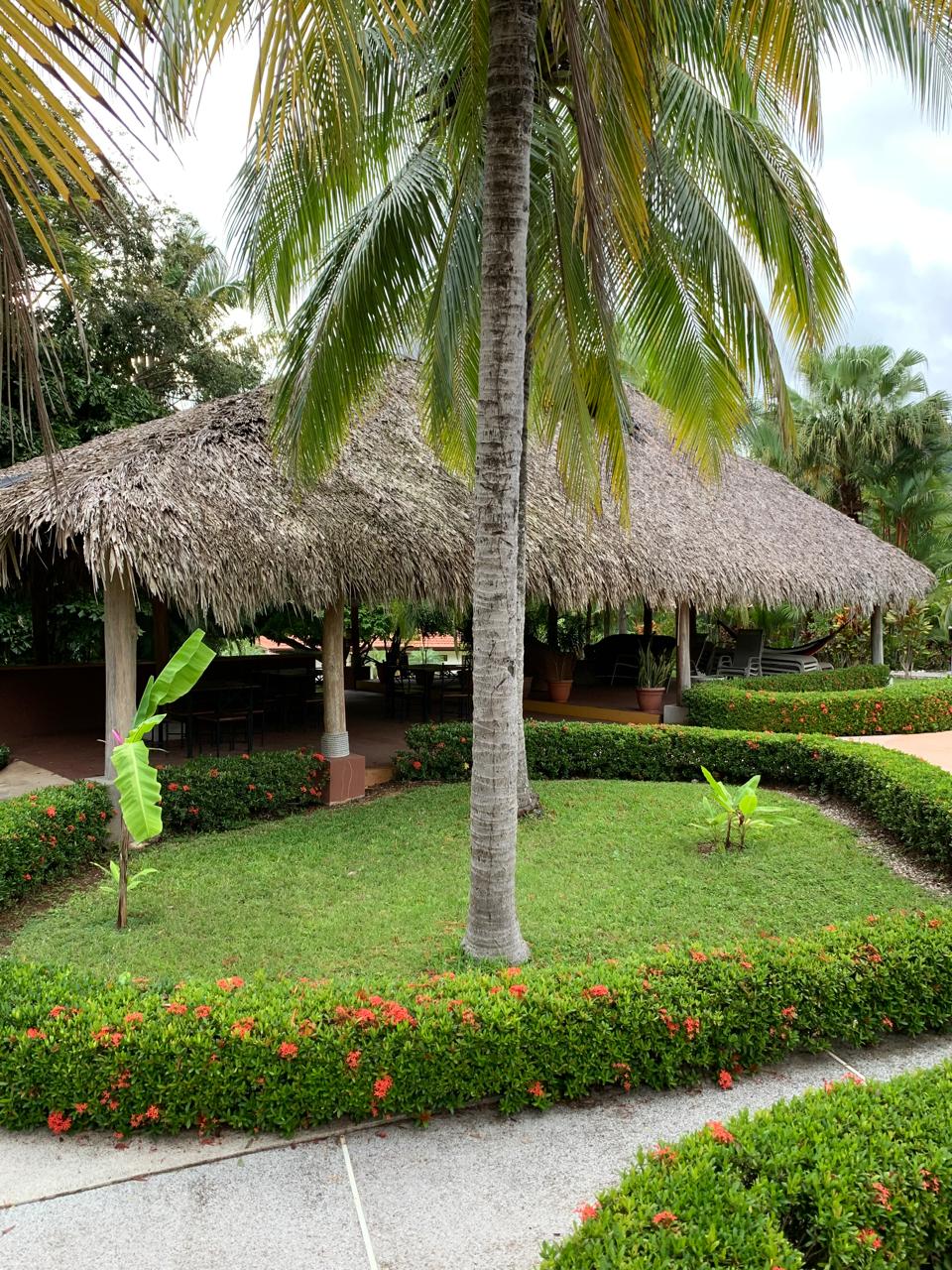 jardín tropical y área de rancho en la comunidad de Loma Verde Carrillo