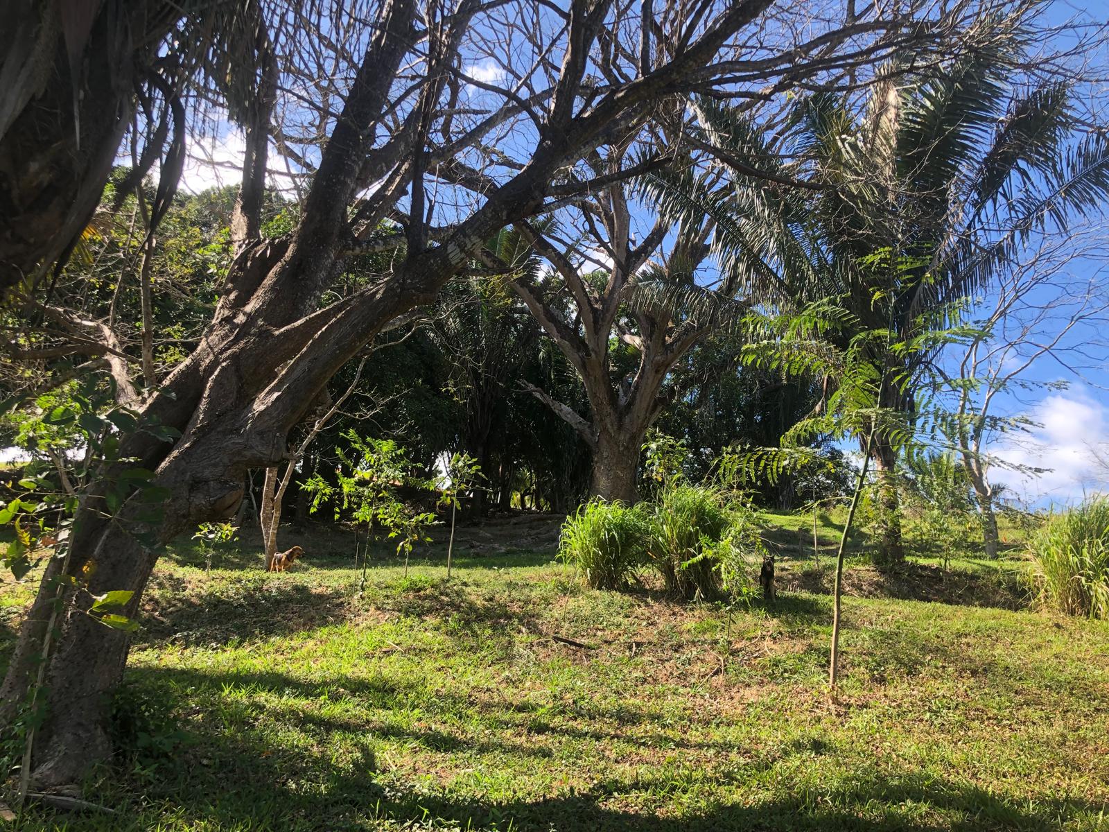Land for sale in Tranquil Horizon, Puerto Carrillo, Costa Rica.
