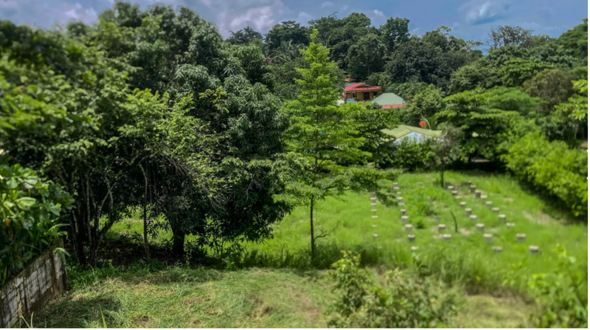 vista del valle verde lote en la montaña Carrillo
