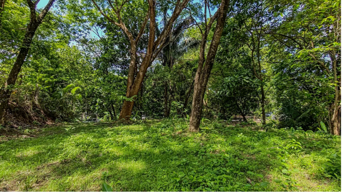 sección edificable lote en la jungla samara