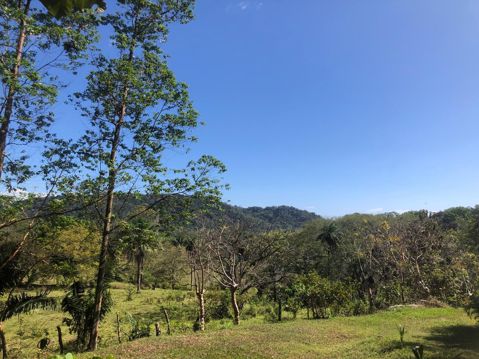 Land for sale in Tranquil Horizon, Puerto Carrillo, Costa Rica.