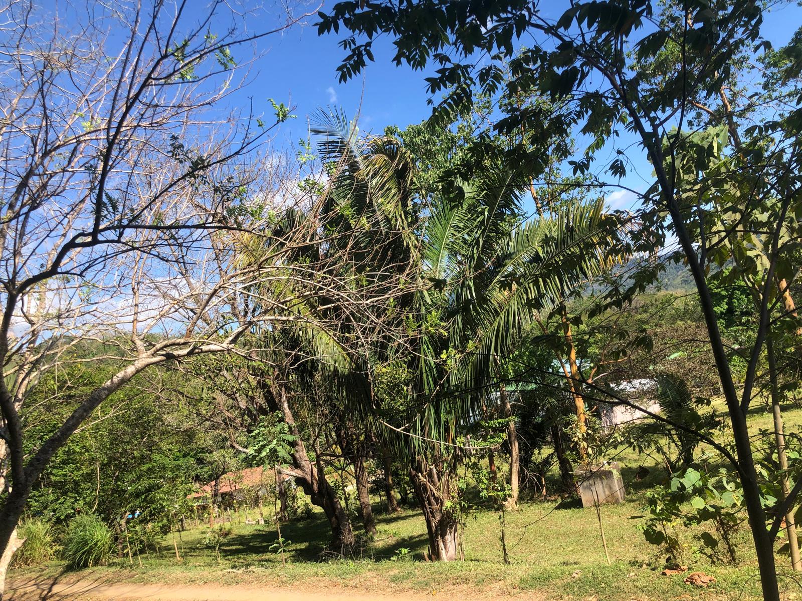 Land for sale in Tranquil Horizon, Puerto Carrillo, Costa Rica.