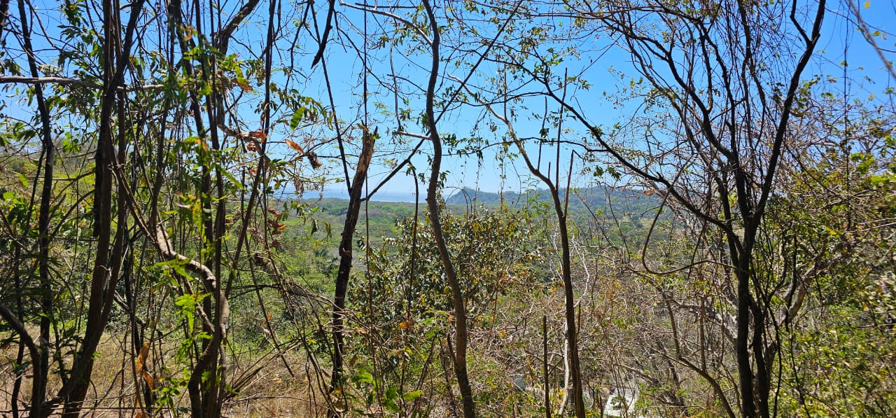 lote elevado con vistas al valle Buena Vista Sámara Guanacaste