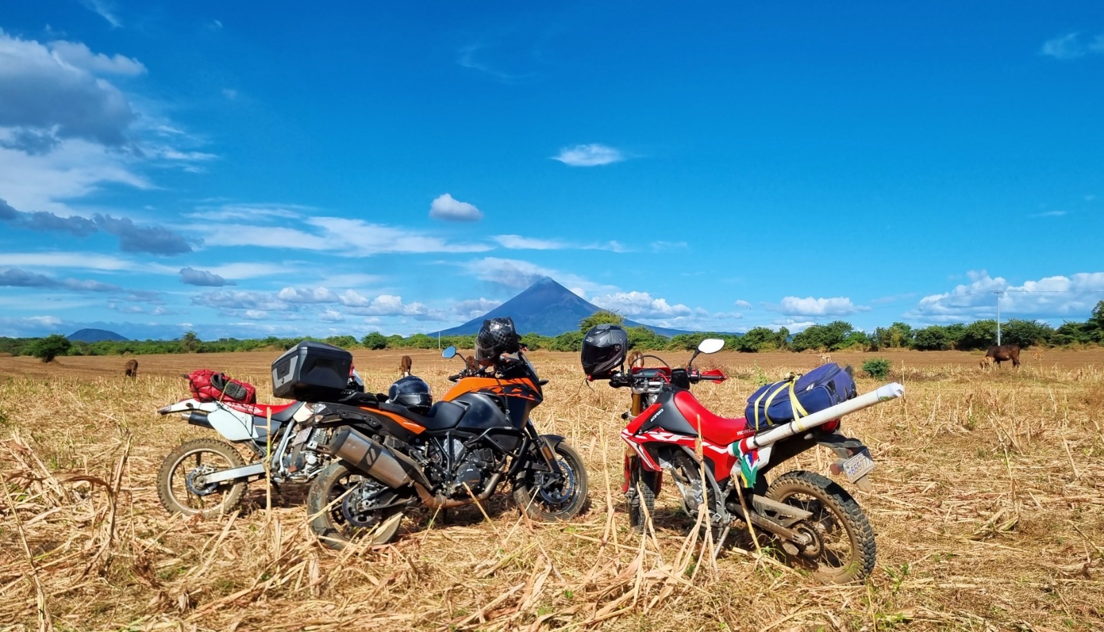 Pura Vida motorcycles for sale in Costa Rica