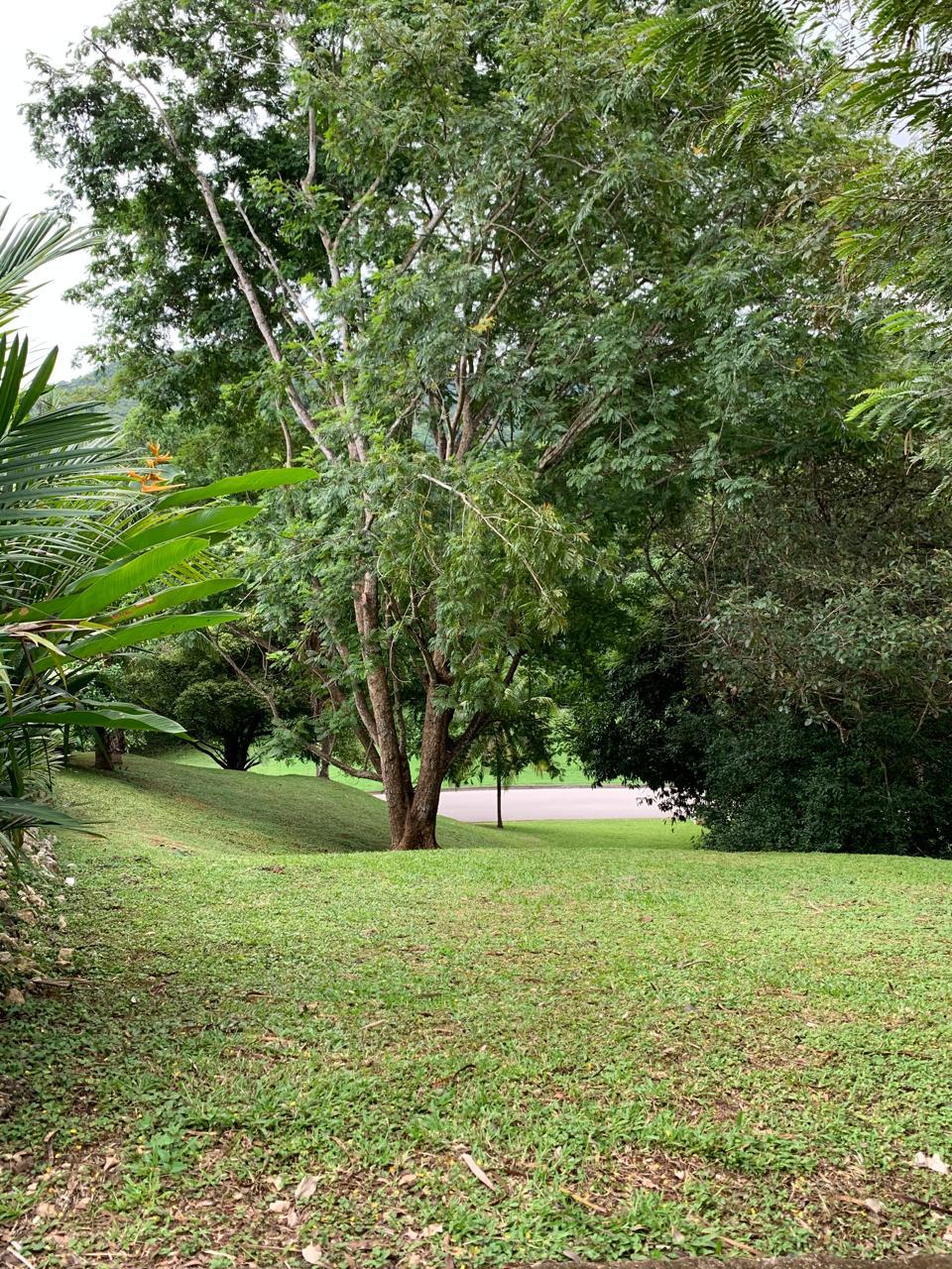 paisajismo de jardín tropical dentro de la comunidad Loma Verde Carrillo
