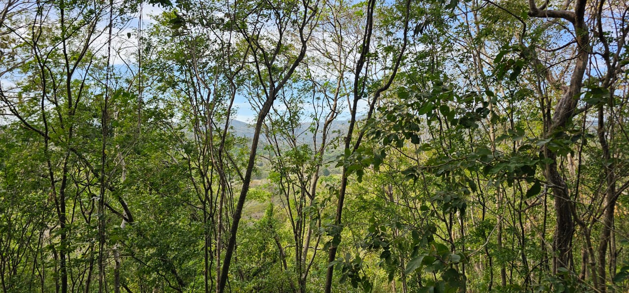 paisaje de colinas verdes cerca de Buena Vista Samara