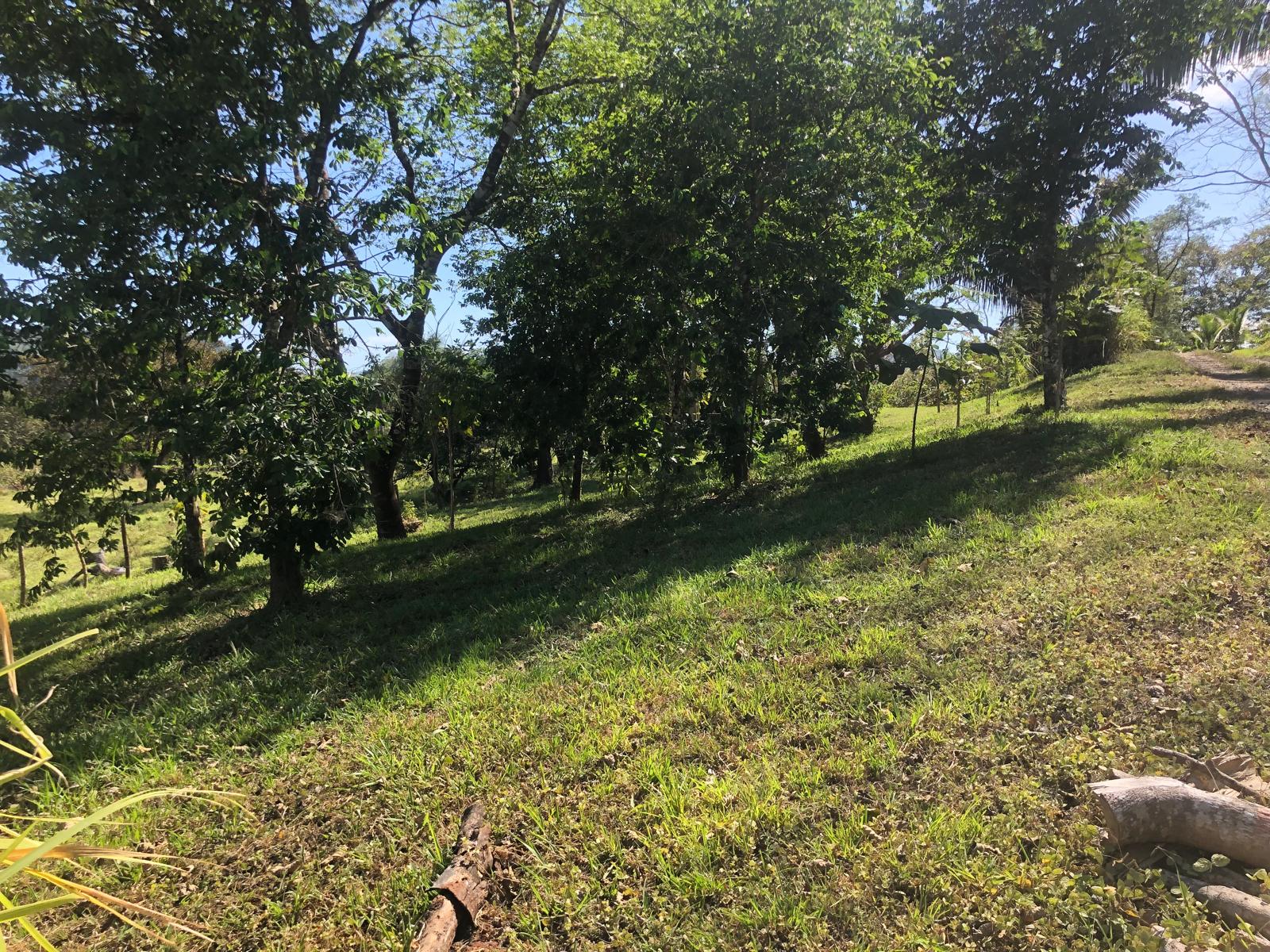 Land for sale in Tranquil Horizon, Puerto Carrillo, Costa Rica.