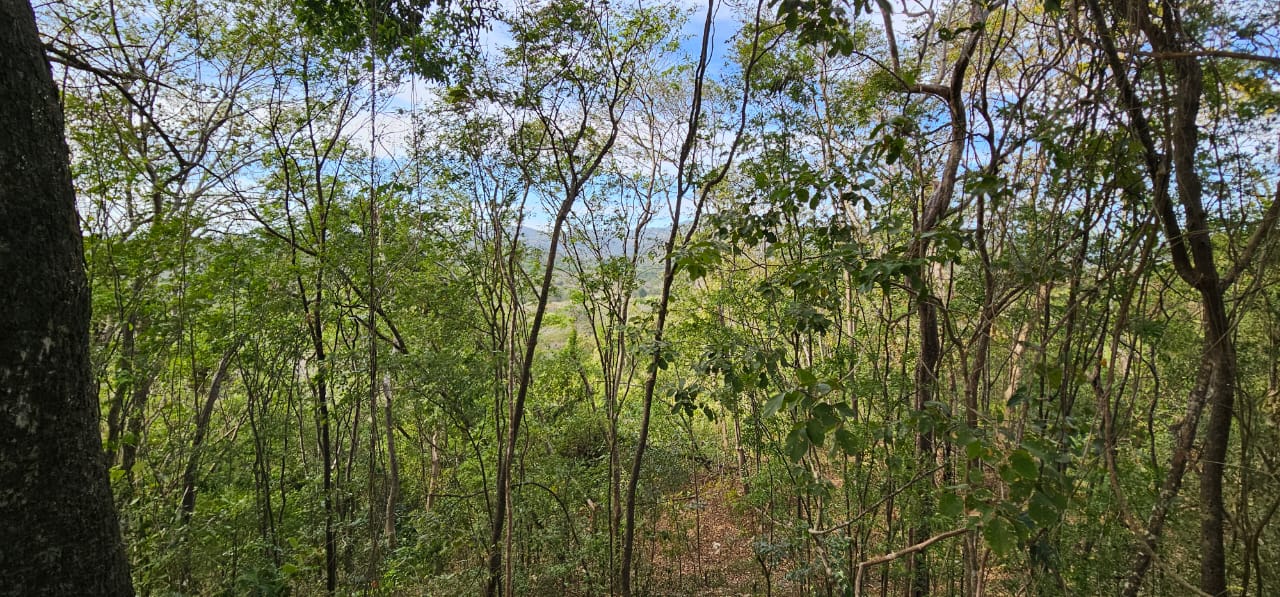 proyecto de terrenos Horizonte Verde cerca de Sámara, Costa Rica