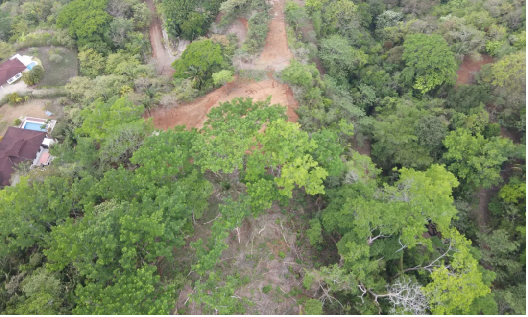 sendero de acceso lote aéreo 25 proyecto montaña