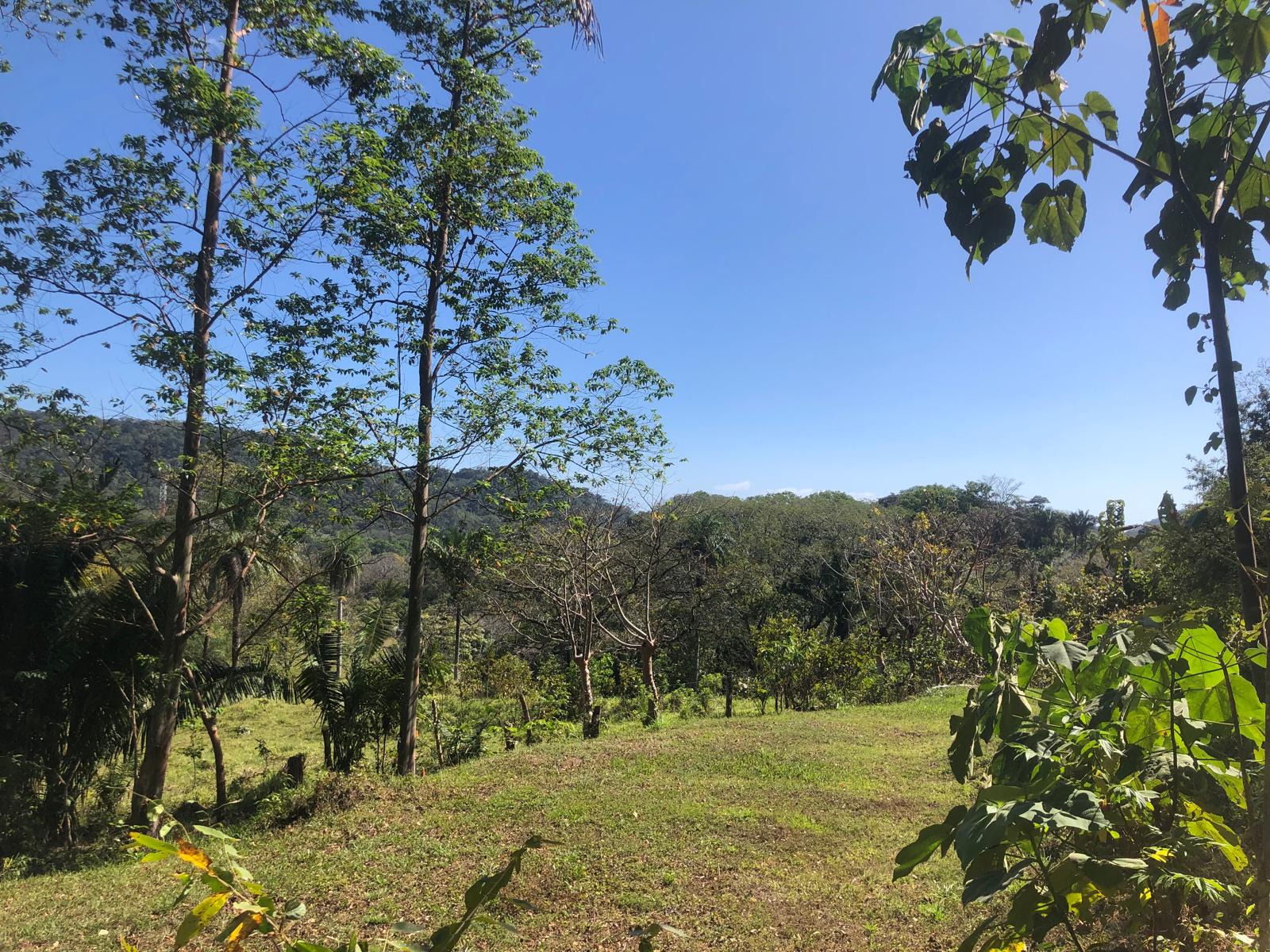 Land for sale in Tranquil Horizon, Puerto Carrillo, Costa Rica.