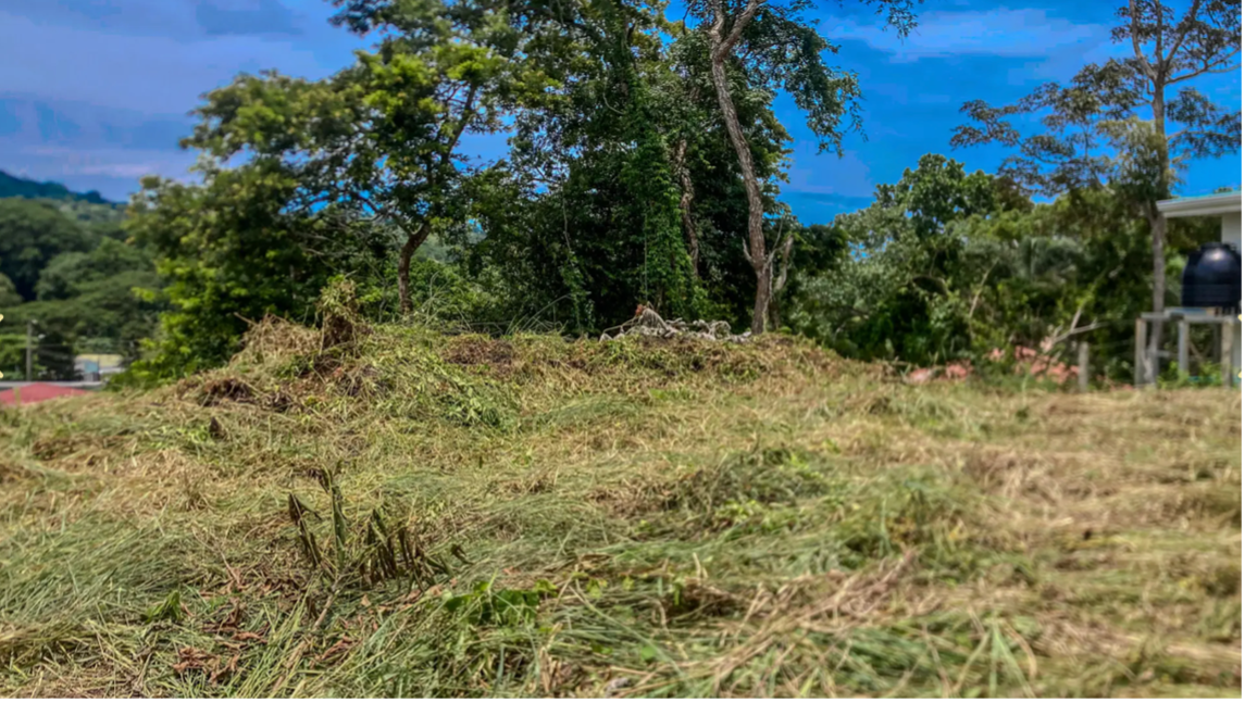 lote de montaña en claro de jungla de Carrillo