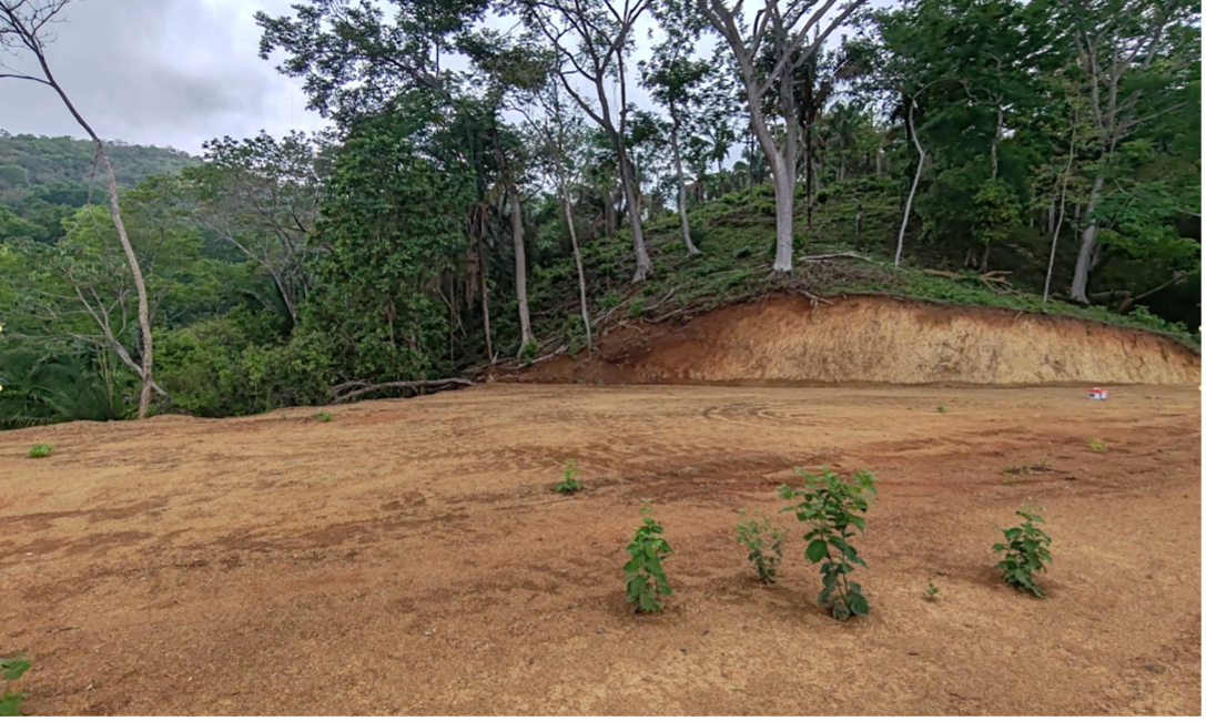 área de la terraza superior lote 25 samara