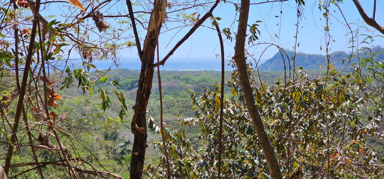 terreno panorámico en ladera cerca de sámara costa rica oportunidad de desarrollo